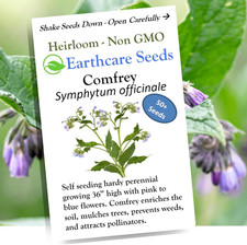 True Comfrey 50 Seeds Symphytum Officinale Non GMO, Heirloom