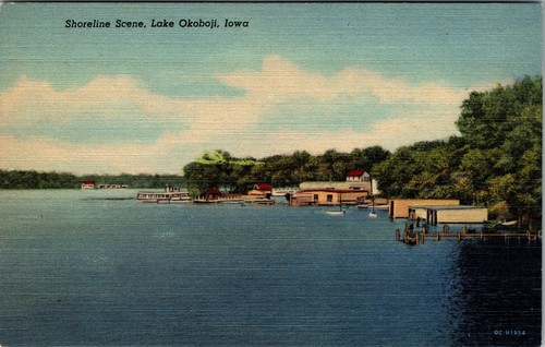 Lake Okoboji Iowa Shoreline Scene Gull Point State Park postal de lino D861 - Imagen 1 de 2