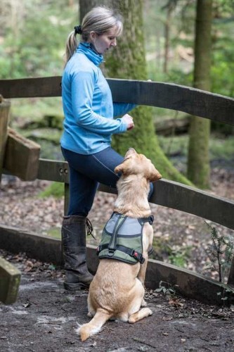 Rukka Pets Dogs & Puppy Apparel - Mission Dog Harness - Picture 2 of 7