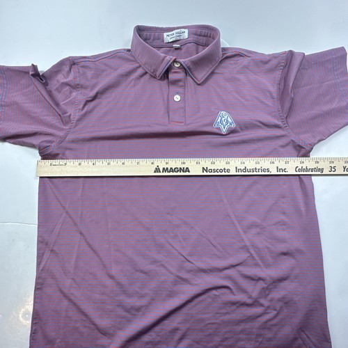 Peter Millar Summer Comfort Youth Large 11-12 Performance Polo Stripe Multicolor - Picture 7 of 10