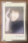 Sa Isip Ko By Agot Isidro (Cassette, 1993) Original Philippine Music