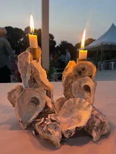 Oyster Shell Mirrored candle holders