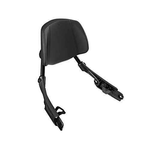 Respaldo de pasajero desmontable Can-Am para Spyder F3, F3-S, F3-T 219401180 - Imagen 2 de 8