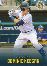 2023 Charleston RiverDogs Team Set Tampa Bay Rays Low-A Affiliate You Pick!