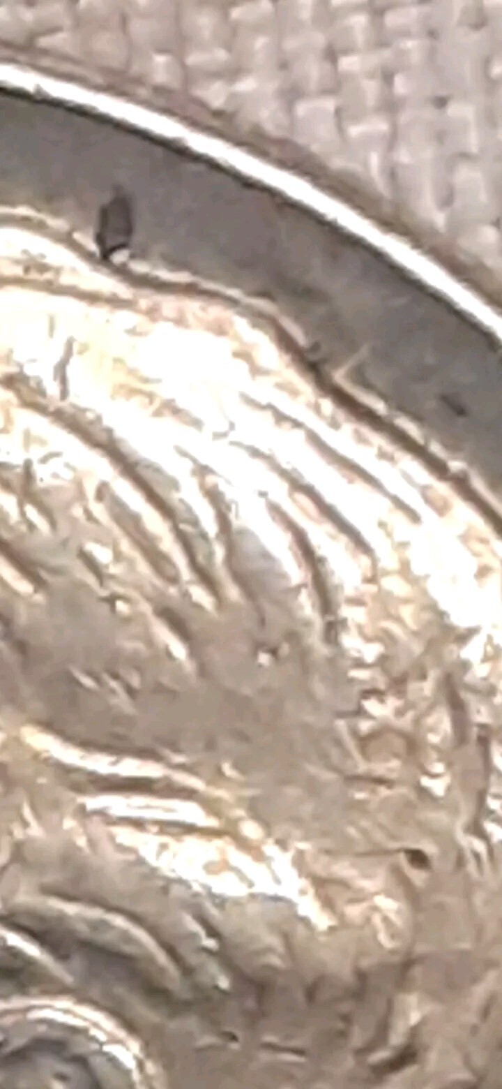 Picture 10 of 24