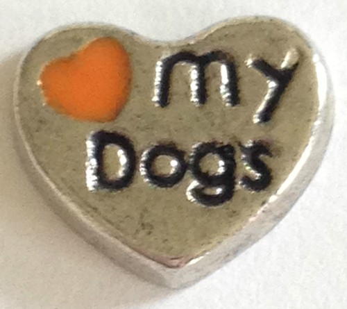 ❤️FLOATING LOCKET CHARMS DOGS ~ FIT Memory OWL ~U CHOOSE ~ COMBINED SHIPPING ❤️ - Picture 17 of 27
