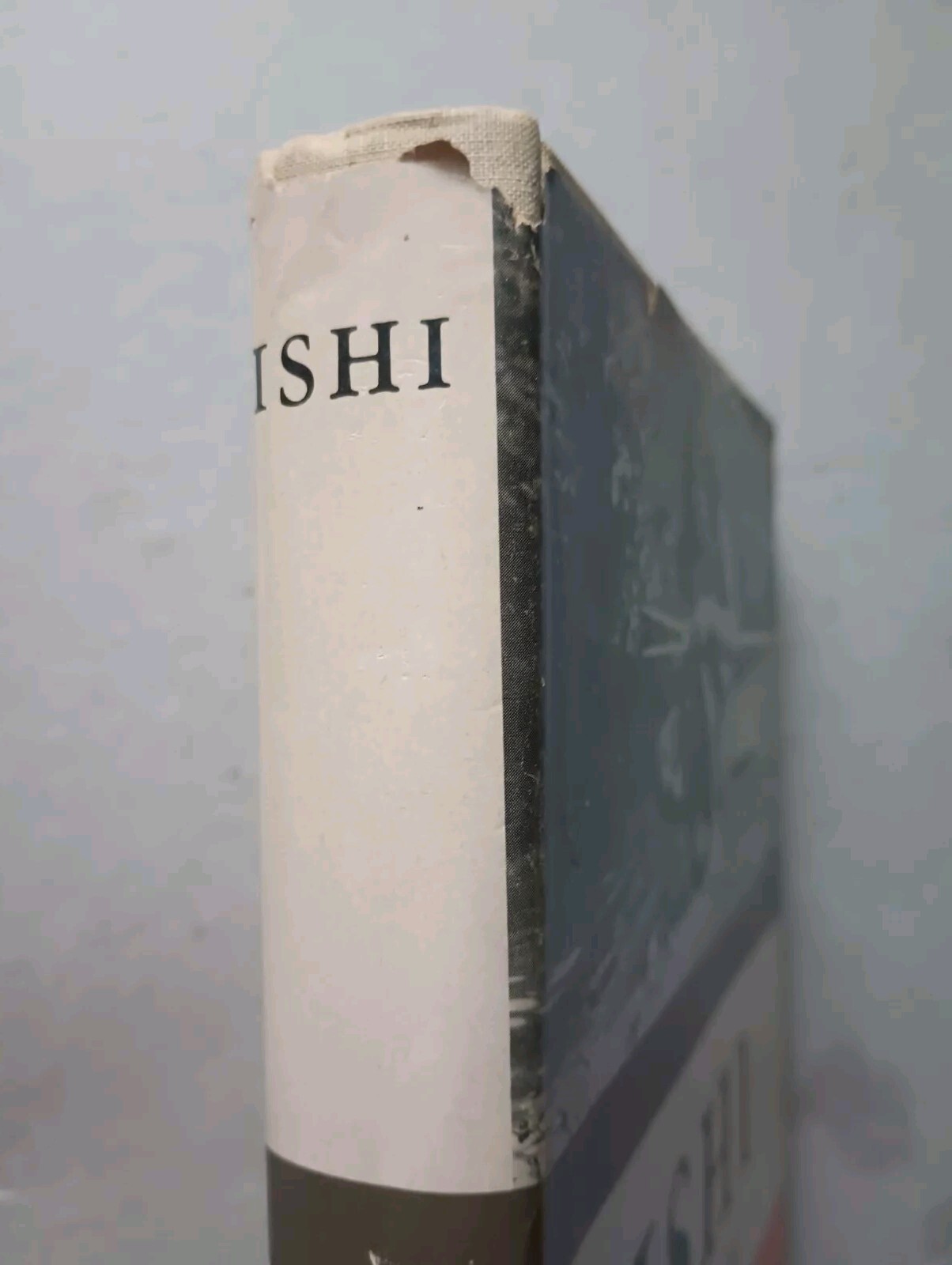 Bild 3 von 16