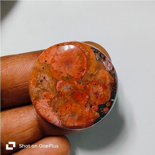 Amapola Jaspe Natural Amapola Jaspe Cabujón Piedras Preciosas Sueltas Joyería 51 Ct ME-10407 - Imagen 2 de 3
