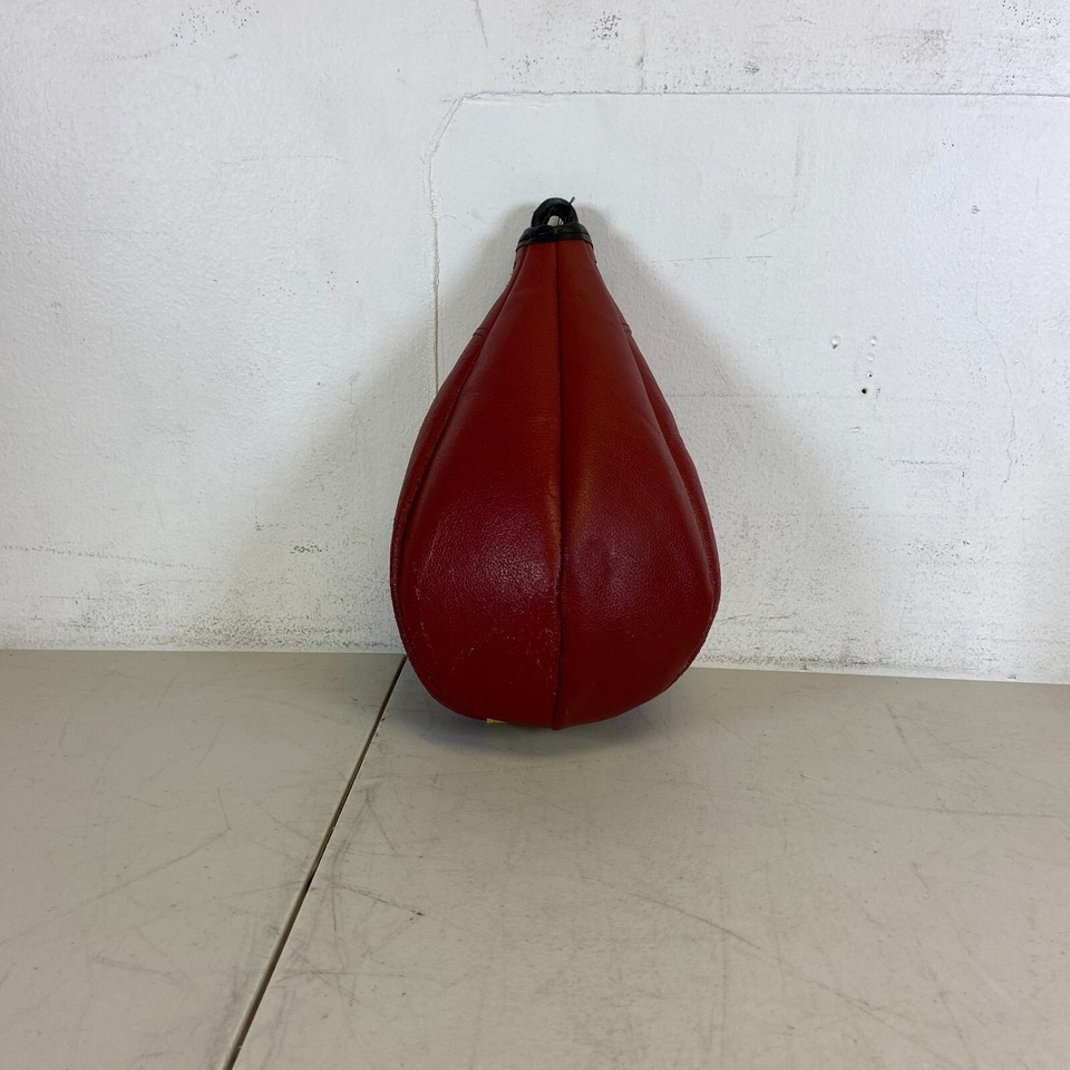 EVERLAST VINYL 4lb. (Used) Deflated SPEED BAG. RED And Black. eBay