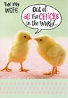 Funny ROMANTIC EASTER Card FOR WIFE, All The Chicks In The World by Hallmark +✉