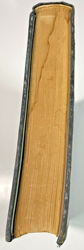 HANS BRINKER OR THE SILVER SKATES-MARY MAPES DODGE-ILLUS. BY G W EDWARDS-1915 - Picture 6 of 9