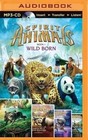 Spirit Animals: Wild Born, Hunted, Blood Ties, Fire and Ice, Against the Tide by Sean Williams, Garth Nix, Tui T Sutherland, Brandon Mull, Maggie Stiefvater, Shannon Hale (CD-Audio, 2015)