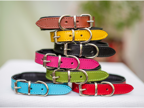 Custom 4 Size Padded Leather Dog Collar in Yellow Personalized Gift For Dog - Picture 3 of 22