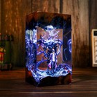 Sung Jinwoo Beru Figure Epoxy lamp, Solo Leveling Sung Jin Woo Night Light