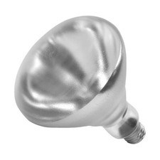 Shat-R-Shield Inc 01696W Heat Lamp Bulb Clear