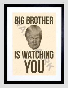 donald trump big brother is watching you 12x16 framed art print