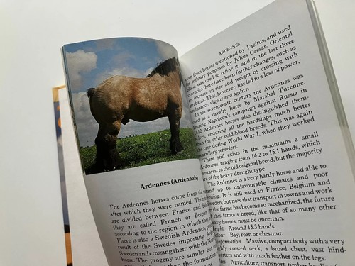 The Observer's Book series - hardcover - select your book Animals cats aircraft - Picture 63 of 77