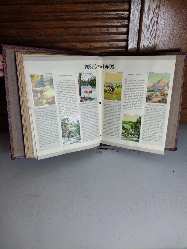 wildlife stamp album national wildlife federation 1949 Through 1958 Complete VTG - Image 4 of 4