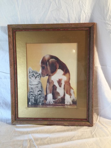 BEAGLE PUP & KITTEN 17.75" x 14.75" Frame,11.5" X 9" Print,dog  - Picture 1 of 6