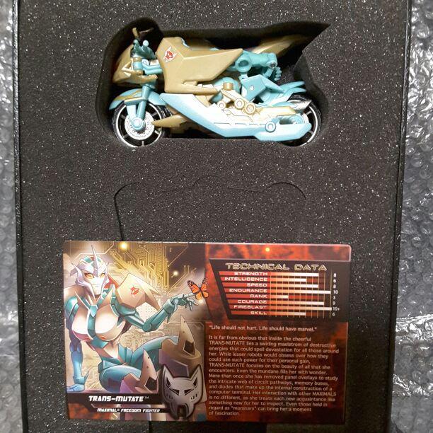 Mint Transmutate Tcc Limited Botcon Trans Formers Mint Transmutate Tcc Limited Botcon Trans Formers