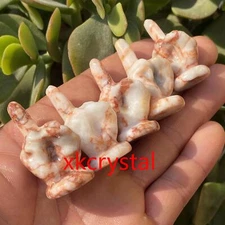 5p Natural Red network stone Middle finger Quartz Crystal Skull Carved Figurines