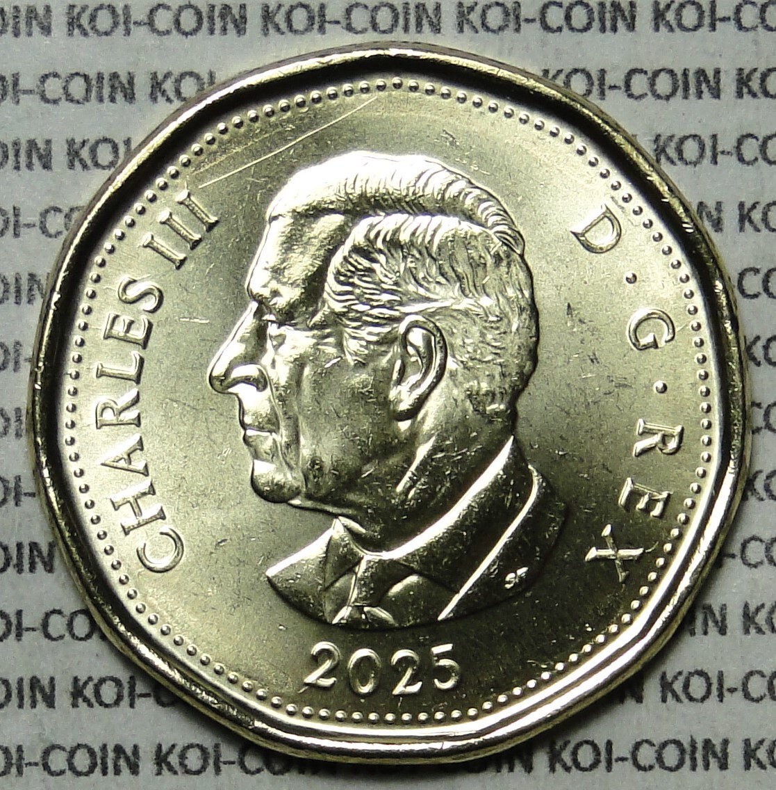 UNC 1875-2025 Canada Supreme Court colored $1 dollar loonie coin