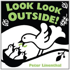 Look Look Outside by Linenthal, Peter [Board book]