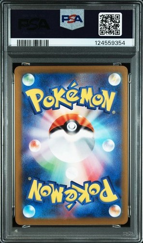 PSA 10 Entei Raikou SAR Set 213 218/172 S12a VSTAR Universe Pokemon Japanese - Picture 4 of 6