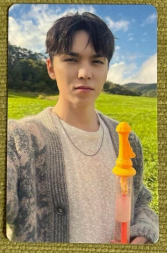 SEVENTEEN RIGHT HERE WORLD TOUR Giappone Fukuoka weverse cartolina fotografica ufficiale - Foto 25 di 27
