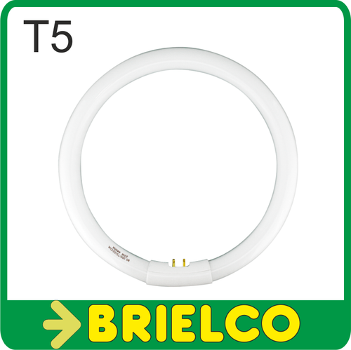 TUBO FLUORESCENTE CIRCULAR TRIFOSFORO T5 185X16MM G10 LUZ DIA 1210LUM 22W BD4234 - Imagen 1 de 1