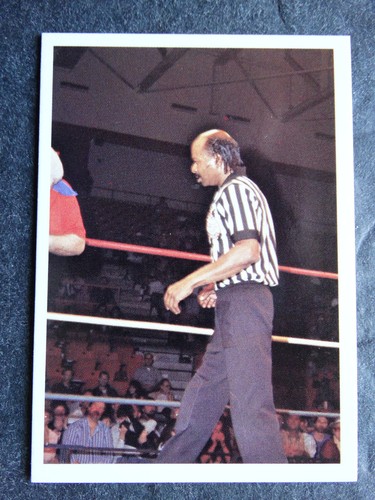 1988 Wonderama NWA Wrestling Cards Complete Your Set U Pick From List 201-343 - Picture 176 of 354