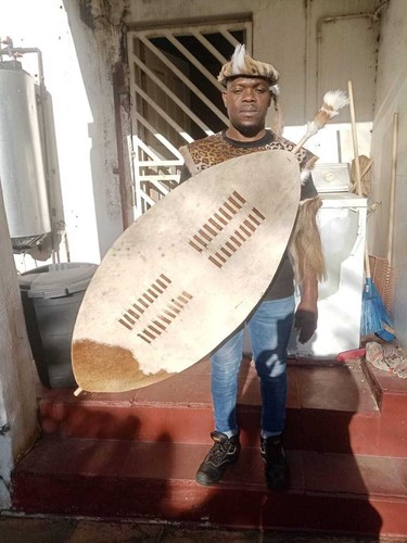 Genuine Cowhide XL Zulu Shield 145cm Brown and White Isihlangu with Handle Tradi - Picture 9 of 10