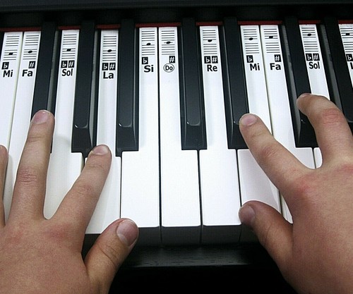 PIANO STICKERS ~ KEYNOTES Music Note Keyboard Labels for 88 Keys~ Do-Re-Mi or H  - Afbeelding 1 van 13