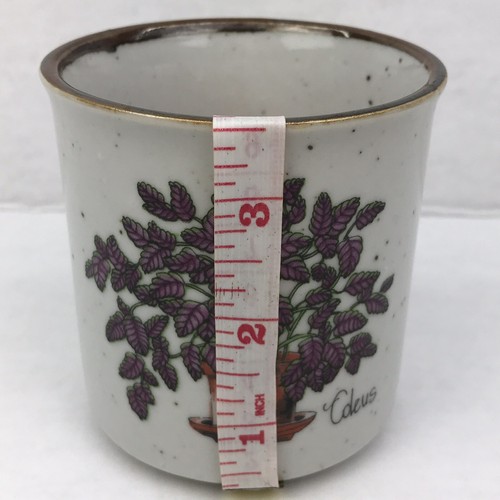 Vtg Japan Coleus Speckled Pottery Mini Planter Pot 3 1/2” Care Info On Back - Picture 4 of 6
