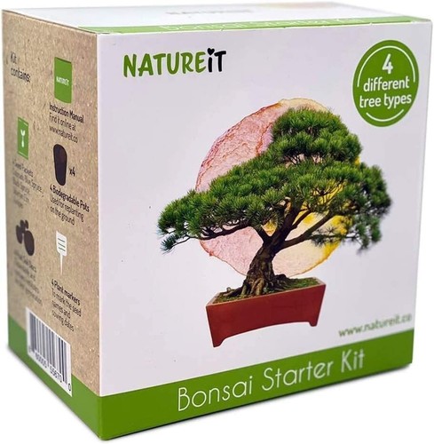 DIY Indoor Bonsai Starter Kit with Seeds – Grow 4 Unique Trees Effortlessly - Picture 9 of 10