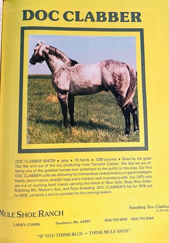 1976 QUARTER HORSE JOURNAL Magazine - LUCKY BAR - SONNY GO LUCKY - DECK JACK - Picture 11 of 24