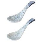  2 Pcs Serving Spoon for Mixing Noodle Japanese Soup Spoons Ceramic