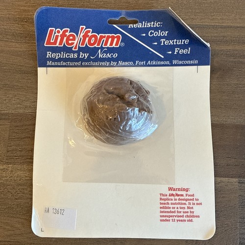 Lebensform Lebensmittel von Nasco Replik Lebensmittel 4 Stück NEU Bohnen, Brot, Kekse, Bologna - Bild 11 von 12