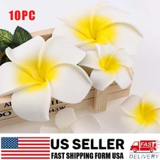 10Pc Plumeria Hawaiian Flower Hair Clip Beaded Red Heart Hat Shoe Swimwear Decor