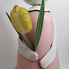 Foto 9 di 11
