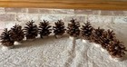 Pinecone & Birch Place Card Holders - Set Of 10 Natural Rustic Table Decor