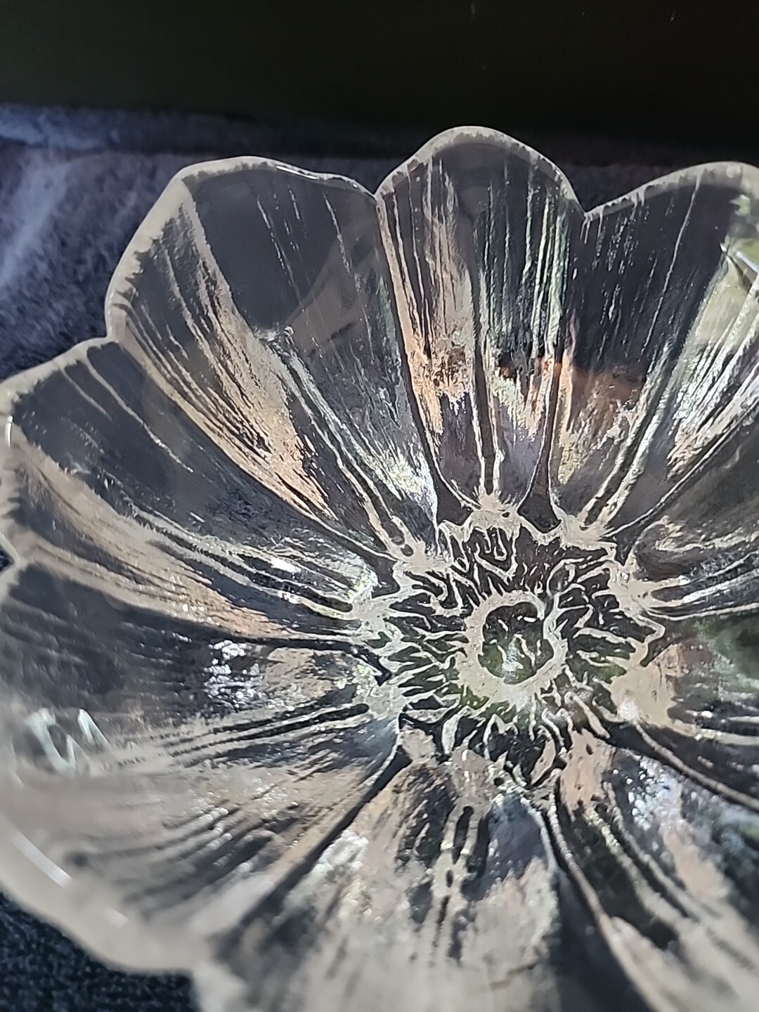 Picture 5 of 12