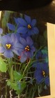 Picture 6 of 7