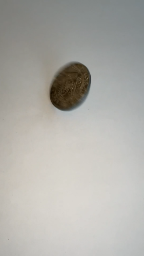Doctor Who original screen used prop Treasure Coin Peter Capaldi Dr. Who BBC TV - Video 1 of 1