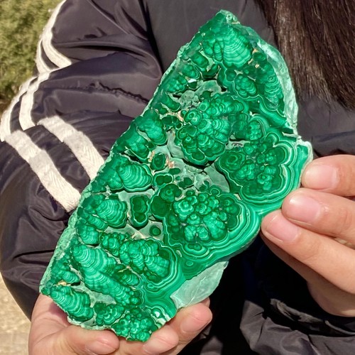 303G Vibrant Green Malachite Slices - Healing Crystal Decorative Specimen - 第 12/12 張圖片