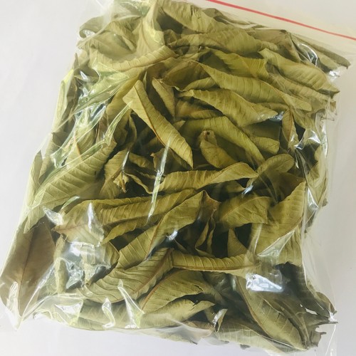 Premium Dried Guava Leaves Hojas De Guayaba Leaf 50 g - 500 g - Bild 9 von 20