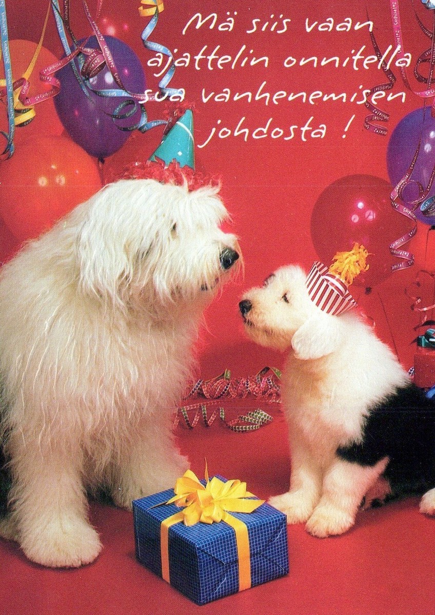 DOG Animals Vintage Postcard CPSM #PAN765.U | eBay