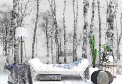Avoir Images Troncs D Arbres De Bouleau Des Bois Papier Peint Mural 1x 1211795 le plus cool par