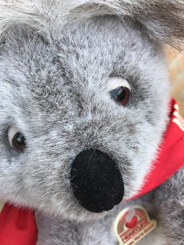 Vintage G’day Mates Snuggables Koalabär Plüsch 1988 Grafik mit Etikett - Bild 5 von 9