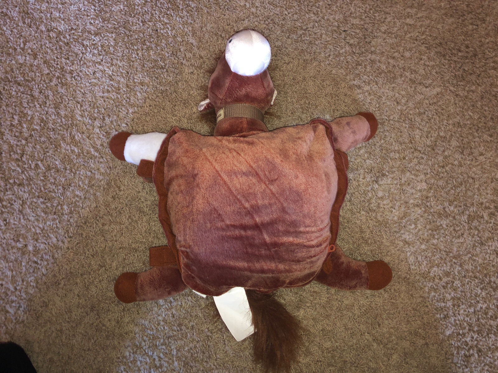 Picture 10 of 11